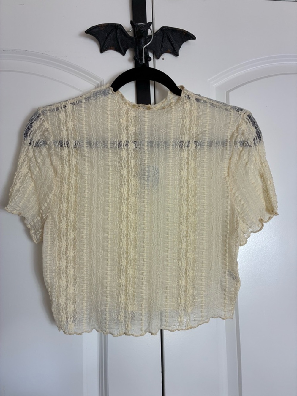 Cottagecore Sheer Cream Short-Sleeve Lace Crop Topl size M
